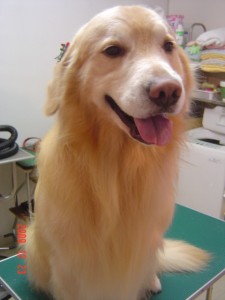 阿部リンくん１２２３