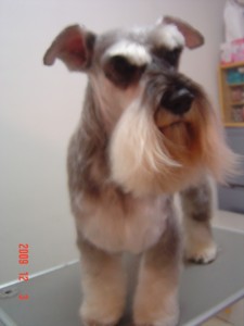 ダンケシェーンくん