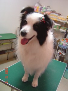 エレノアちゃん