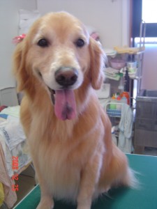 阿部ナナちゃん１２２５