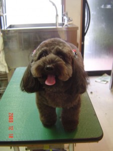 桑名モカちゃん１２１８