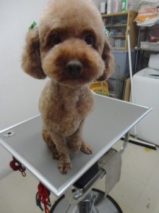 りんたろうくん