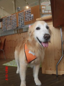 アンディちゃん