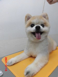 チェリーちゃん